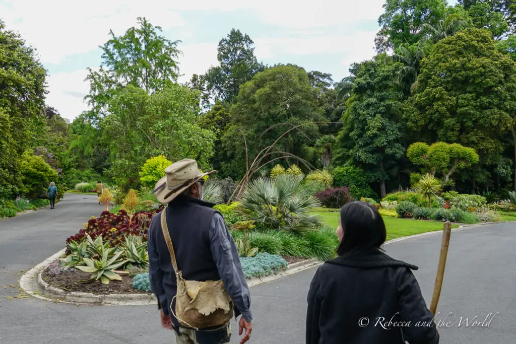 One of the best things to do in Melbourne is learn about Indigenous culture on an Aboriginal Heritage Walk through the Royal Botanic Gardens