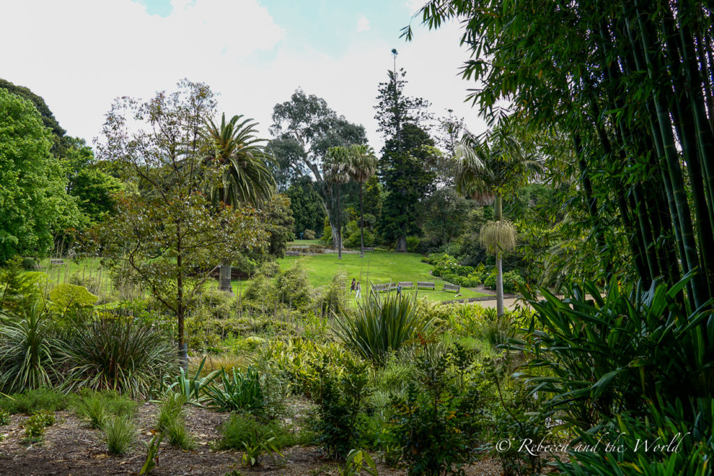 The Royal Botanic Gardens are a Melbourne must do - pack a picnic and come here on a sunny day