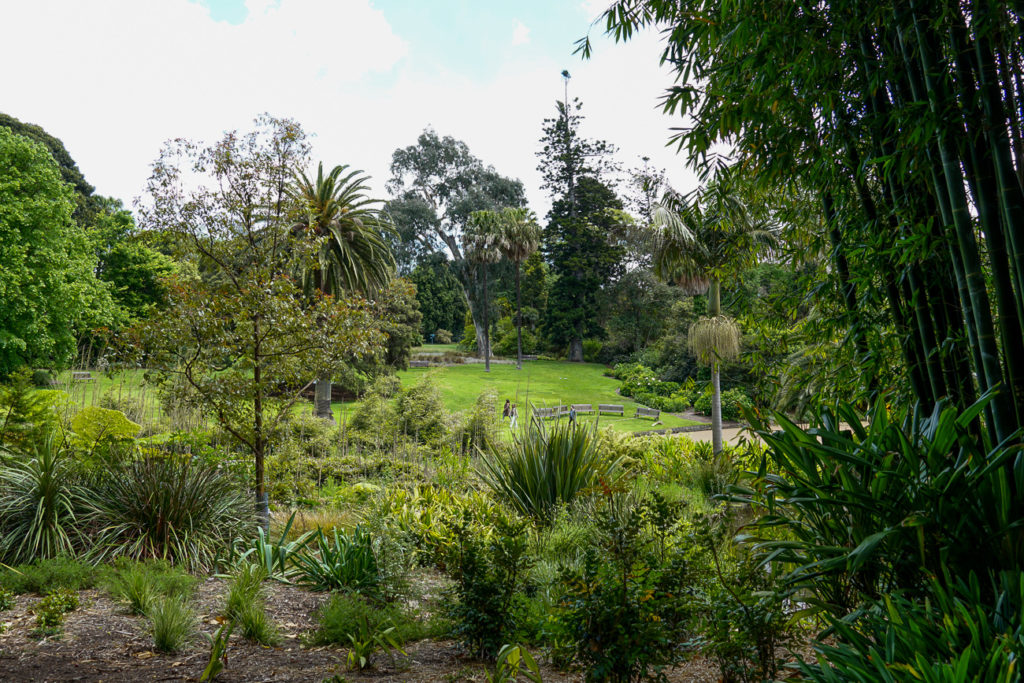 If the weather's nice, a visit to the Royal Botanic Gardens should definitely be on your 5 days in Melbourne itinerary