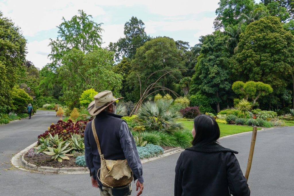 An Aboriginal man leads a dark-haired woman through the Royal Botanic Gardens in Melbourne on the Aboriginal Heritage Walk, one of the best walking tours in Melbourne. There are lush green trees and plants all around them