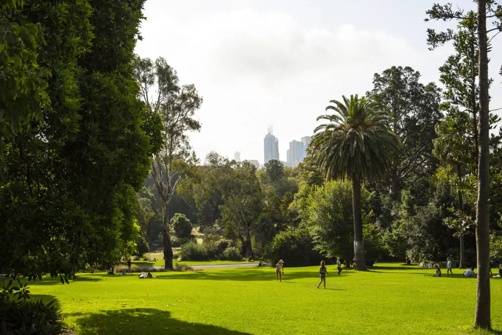 Get outdoors during spring in Melbourne and check out some of our beautiful gardens and parks