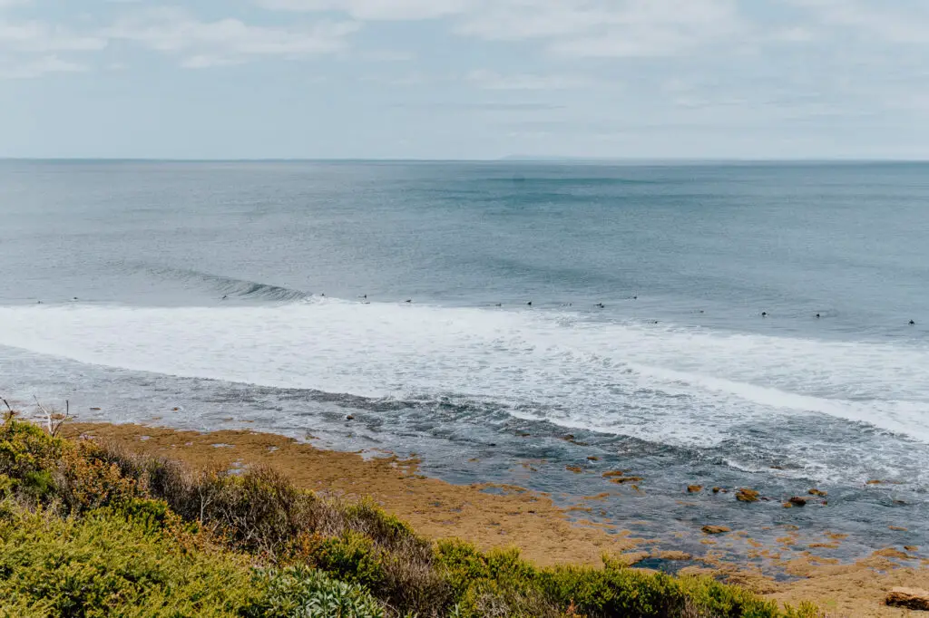 Watching surfers at Bells Beach is one of the best things to do in Torquay