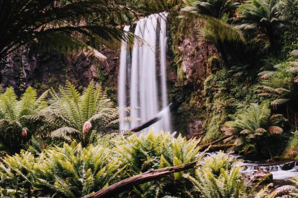 Great Otway National Park is one of the most beautiful places to visit in Victoria, Australia