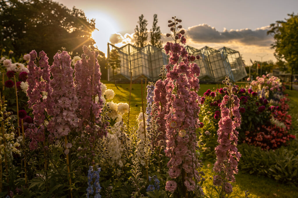 Visiting the Ballarat Botanical Gardens is one of the top things to do in Ballarat, Victoria