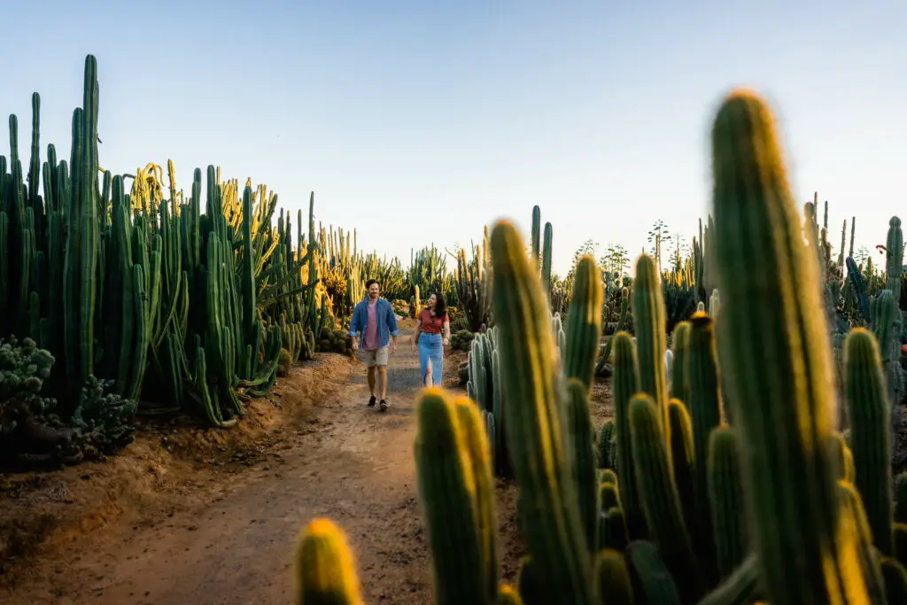 Cactus Country is one of the Melbourne attractions you can visit with the Melbourne and Beyond Pass