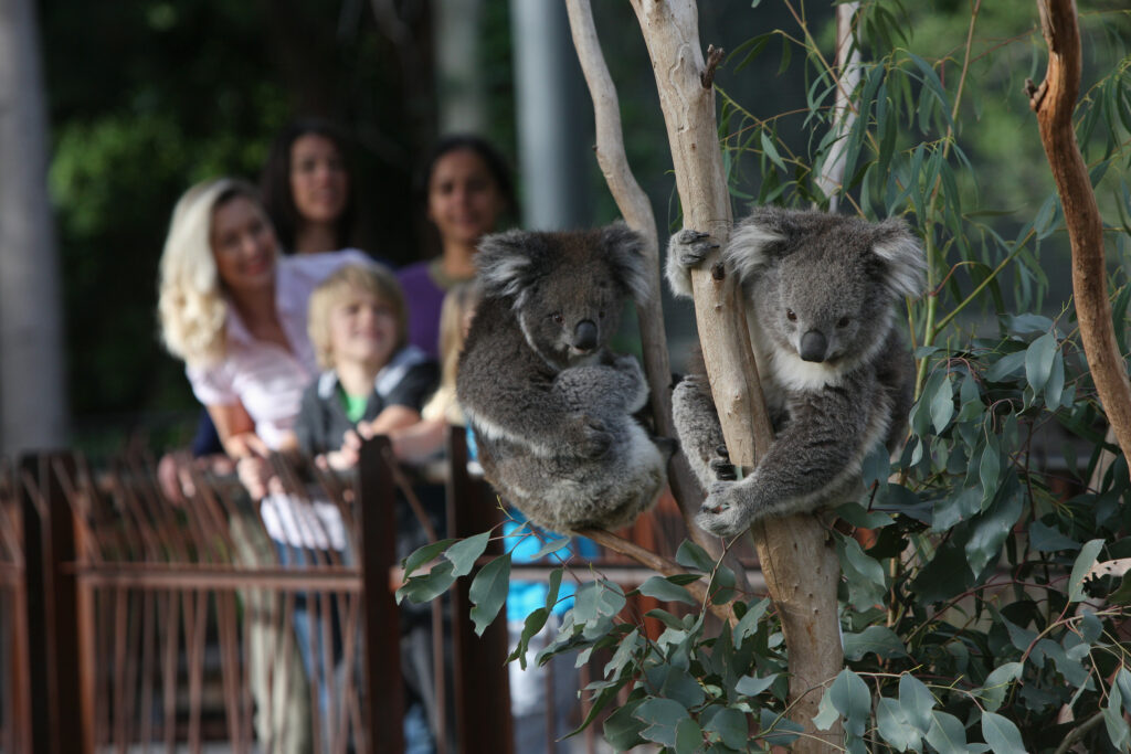 melbourne day trips by train