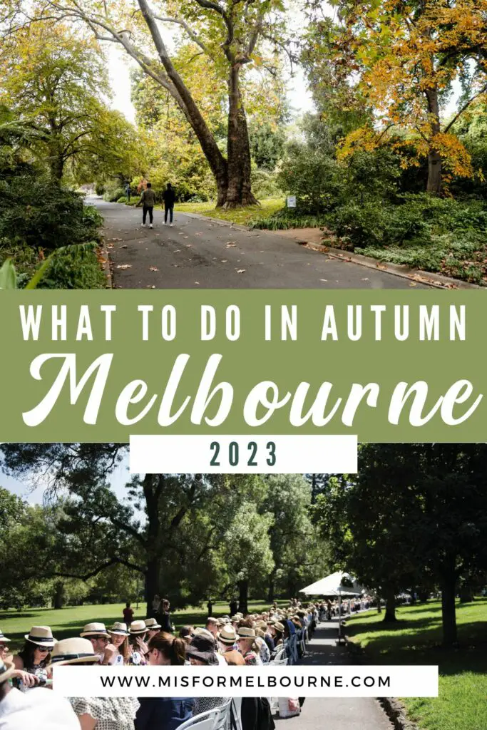 Autumn in Melbourne is a great time to visit. Enjoy all the things to do in Melbourne in autumn activities with this guide for 2023.