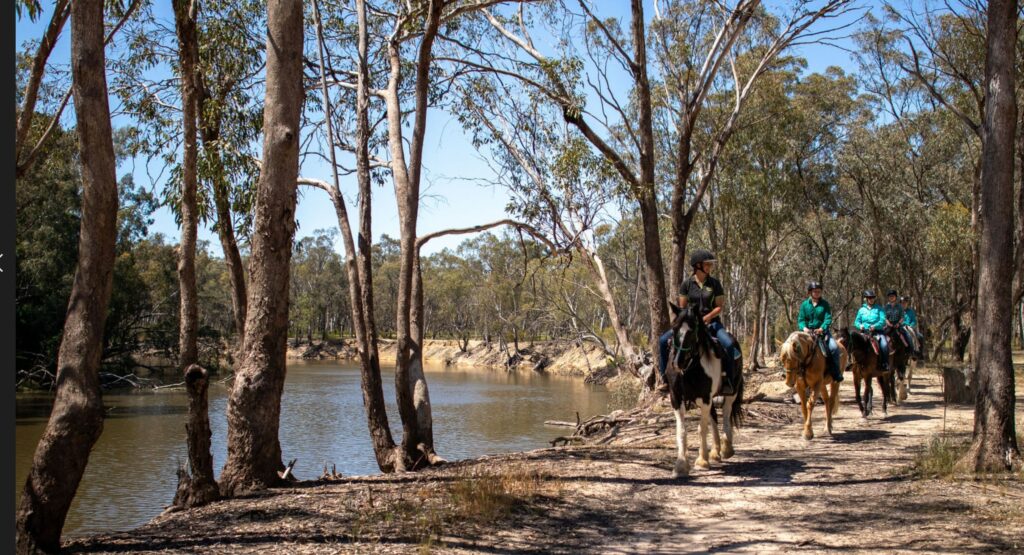 echuca tourist centre