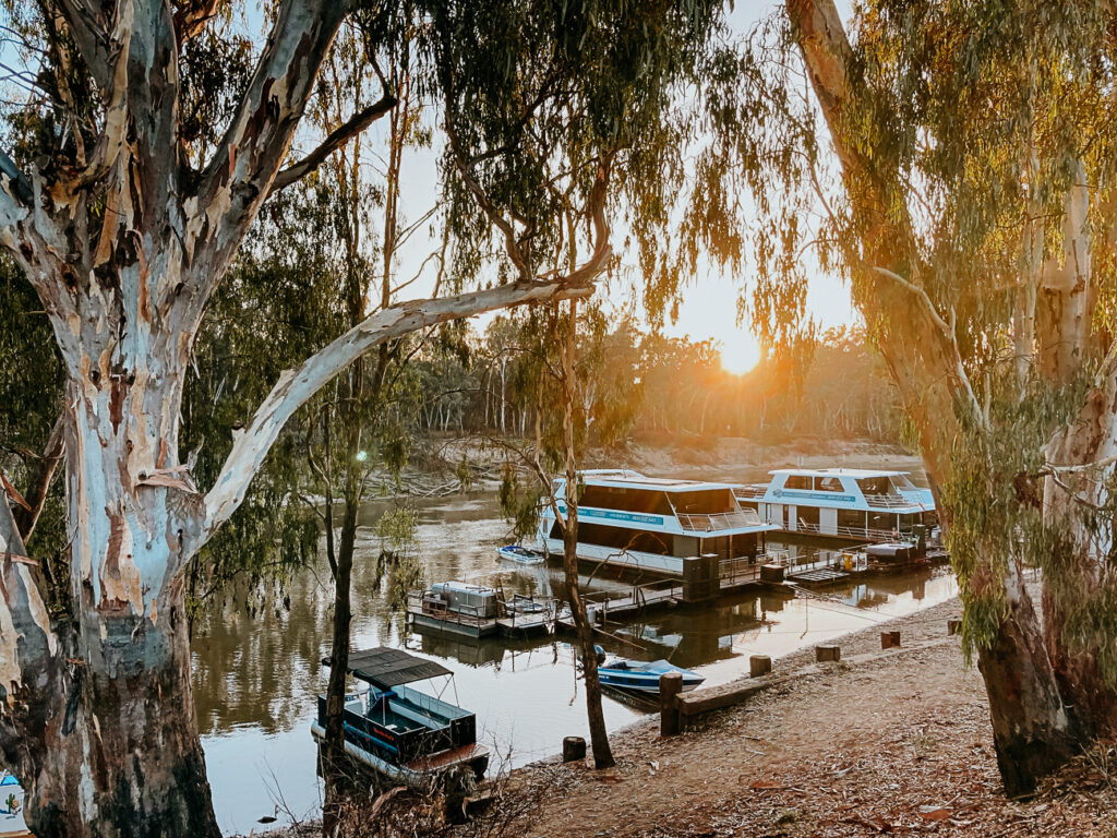 Murray River at sunrise - One of the best things to do in Echuca in summer is to have a swim in the river